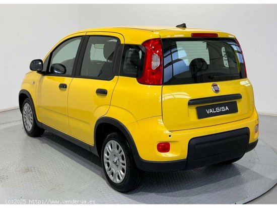 Fiat Panda Pandina 1.0 Hybrid 51kW (70cv) - Gijón