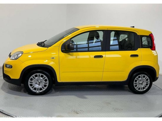 Fiat Panda Pandina 1.0 Hybrid 51kW (70cv) - Gijón