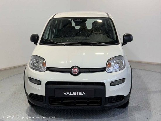 Fiat Panda Pandina 1.0 Hybrid 51kW (70cv) - Gijón