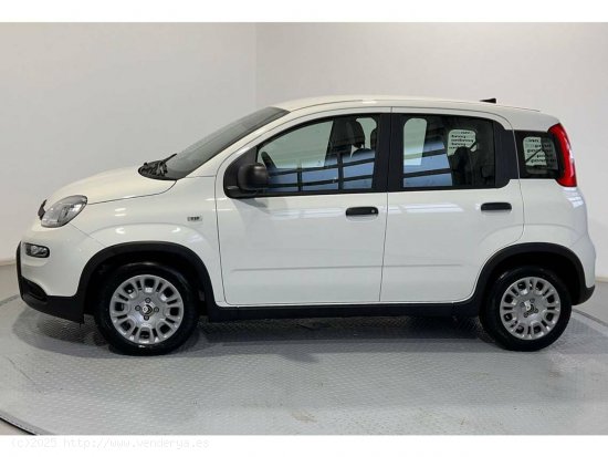 Fiat Panda Pandina 1.0 Hybrid 51kW (70cv) - Gijón