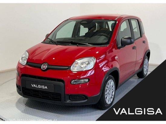  Fiat Panda Pandina 1.0 Hybrid 51kW (70cv) - Gijón 