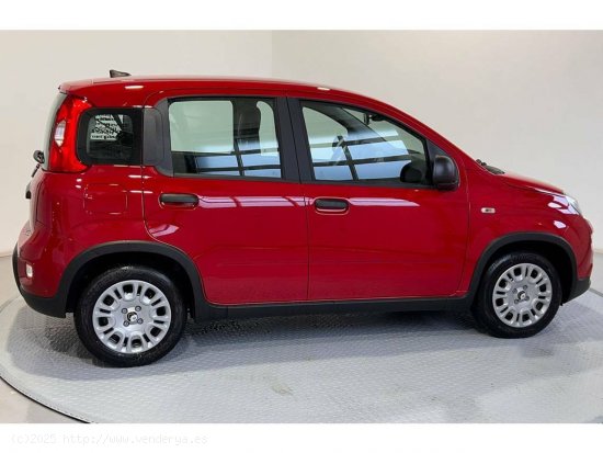 Fiat Panda Pandina 1.0 Hybrid 51kW (70cv) - Gijón