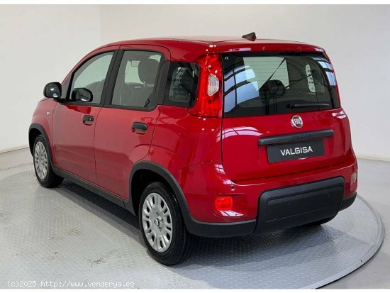 Fiat Panda Pandina 1.0 Hybrid 51kW (70cv) - Gijón