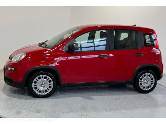 Fiat Panda Pandina 1.0 Hybrid 51kW (70cv) - Gijón