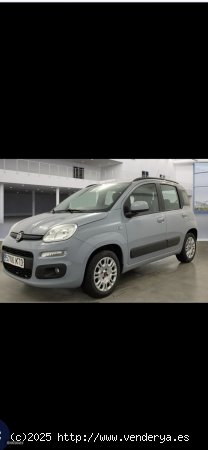 Fiat Panda .panda  Lounge 1.2 de 2019 con 55.000 Km por 7.500 EUR. en Malaga