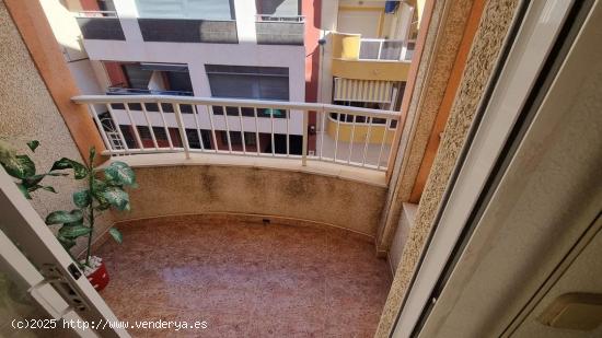 REBAJADOO!!!! TORREVIEJA ZONA HABANERAS 3 HABS +GARAJE +TRASTERO 93.000 EUROS... - ALICANTE