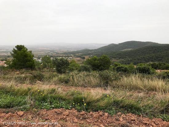 Terreno Agrario - TARRAGONA