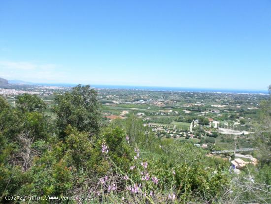 Parcela urbana situada en Residencial La Sella Golf in Denia - ALICANTE