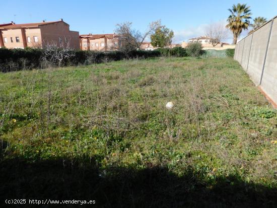  TERRENO URBANO EN EL CENTRO DE CHOZAS DE CANALES - TOLEDO 