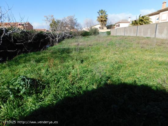 TERRENO URBANO EN EL CENTRO DE CHOZAS DE CANALES - TOLEDO