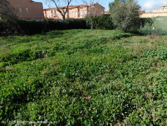 TERRENO URBANO EN EL CENTRO DE CHOZAS DE CANALES - TOLEDO