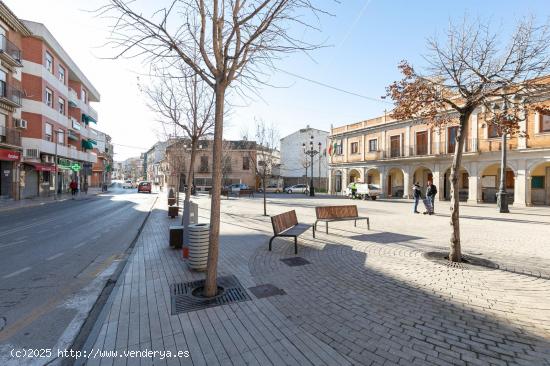 LOCAL JUNTO AYUNTAMIENTO DE ALBOLOTE - GRANADA