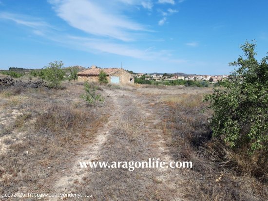  Finca en venta en Maella (Zaragoza) 