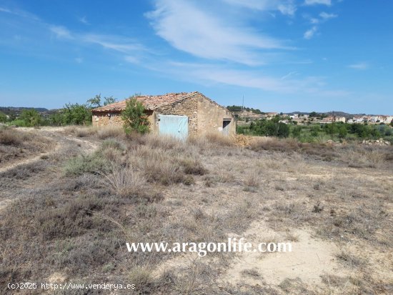 Finca en venta en Maella (Zaragoza)