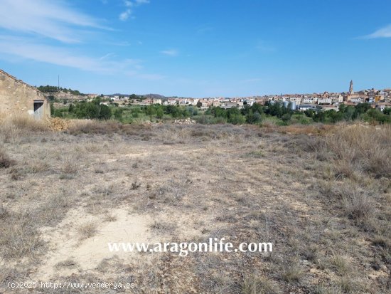 Finca en venta en Maella (Zaragoza)