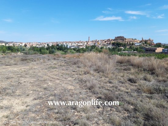 Finca en venta en Maella (Zaragoza)