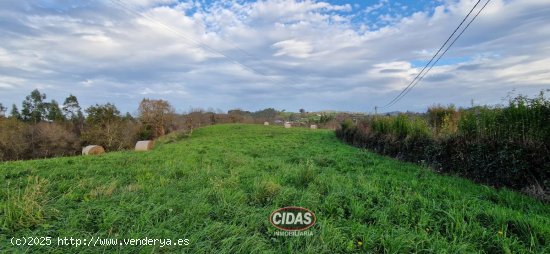  Finca en venta en Siero (Asturias) 