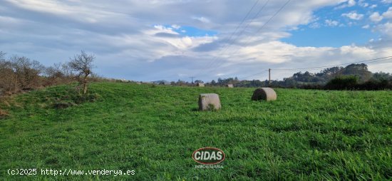 Finca en venta en Siero (Asturias)