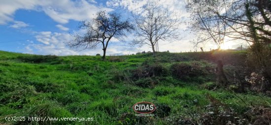 Finca en venta en Siero (Asturias)