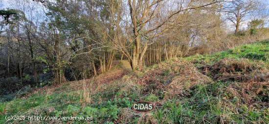 Finca en venta en Siero (Asturias)