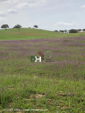  Solar en venta en Huelva (Huelva) 