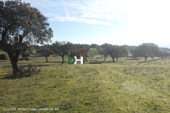 Solar en venta en Badajoz (Badajoz)