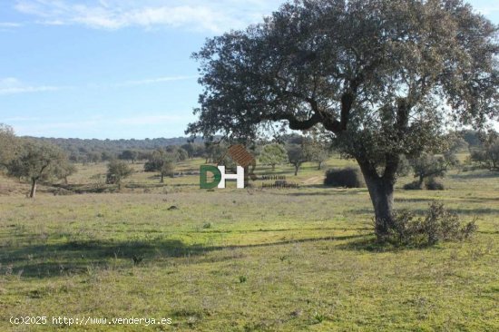 Solar en venta en Badajoz (Badajoz)