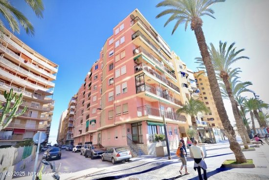 Apartamento en venta en Torrevieja (Alicante)