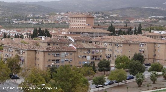  Piso en alquiler en Granada (Granada) 