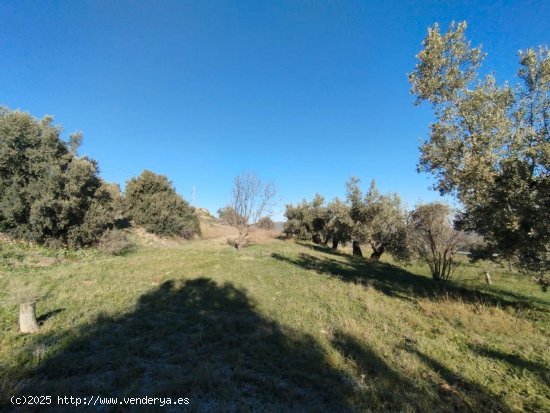  Finca en venta en La Fresneda (Teruel) 