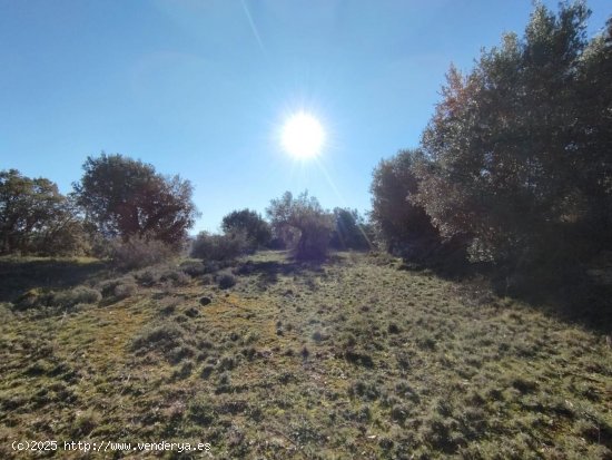 Finca en venta en La Fresneda (Teruel)