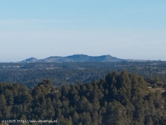 Finca en venta en La Fresneda (Teruel)