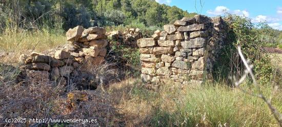 Finca de cereal con caseta - TARRAGONA