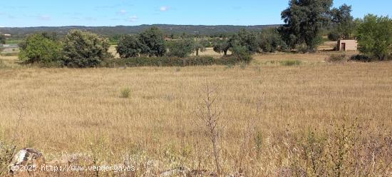 Finca de cereal con caseta - TARRAGONA