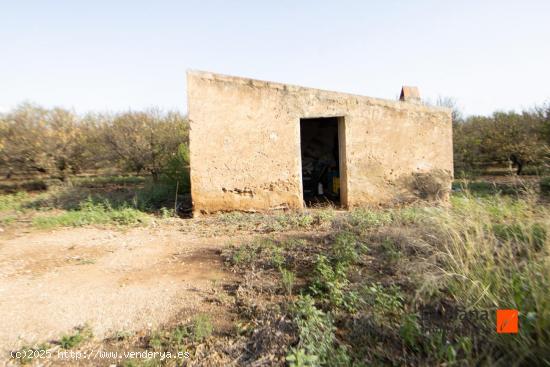 FINCA CON CASETA Y AGUA EN SANTA BARBARA (TARRAGONA) - TARRAGONA