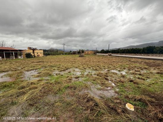 Terreno Rústico de 1.800 m² en Marchuquera, Palma de Gandía - VALENCIA