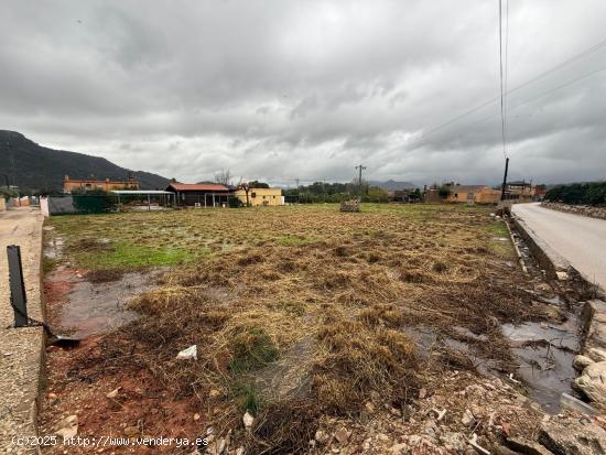 Terreno Rústico de 1.800 m² en Marchuquera, Palma de Gandía - VALENCIA