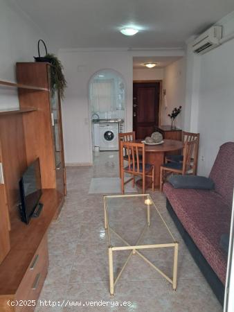 TORREVIEJA APARTAMENTO 1 HAB PISCINA COMUNITARIA EN CENTRO TORREVIEJA - ALICANTE