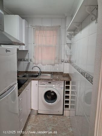 TORREVIEJA APARTAMENTO 1 HAB PISCINA COMUNITARIA EN CENTRO TORREVIEJA - ALICANTE