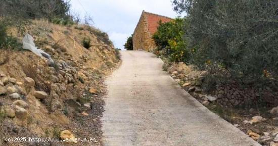 Terreno en Bolulla 480 m² cuenta con agua de riego y un poste de luz en la entrada 7.500 euros 💰