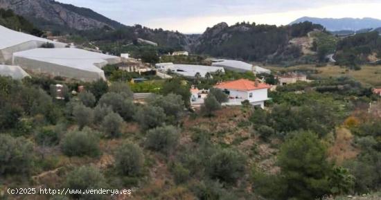 Terreno en Bolulla de 7800 m² Acceso cómodo por camino asfaltado y servicios de luz y agua 39.000