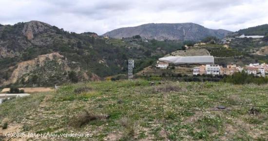 Terreno en Bolulla de 7800 m² Acceso cómodo por camino asfaltado y servicios de luz y agua 39.000