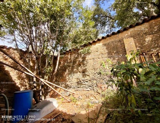 SE VENDE ALMACÉN EN SUELO URBANO EN VENTA EN LOS MARINES (HUELVA) ESPAÑA. - Marines (Los)