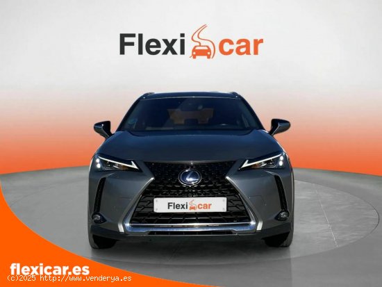 Lexus UX 2.0 250h Business - Pamplona