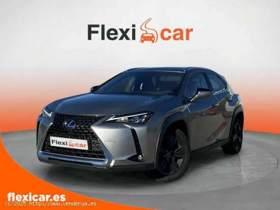 Lexus UX 2.0 250h Business - Pamplona