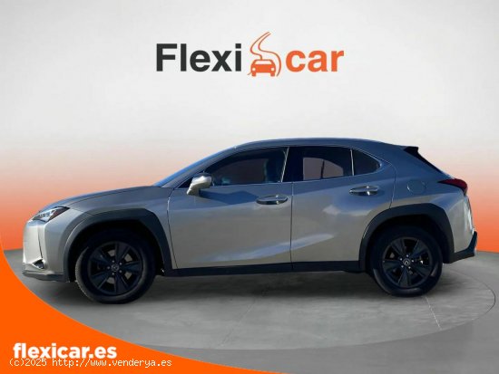 Lexus UX 2.0 250h Business - Pamplona