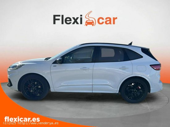 Ford Kuga ST-Line 2.5 Duratec FHEV 140kW Auto - Cabrera de Mar