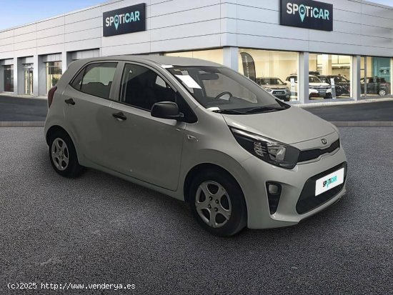 Kia Picanto  1.0 CVVT 49kW (67CV) Concept - FINESTRAT