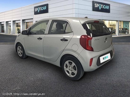 Kia Picanto  1.0 CVVT 49kW (67CV) Concept - FINESTRAT