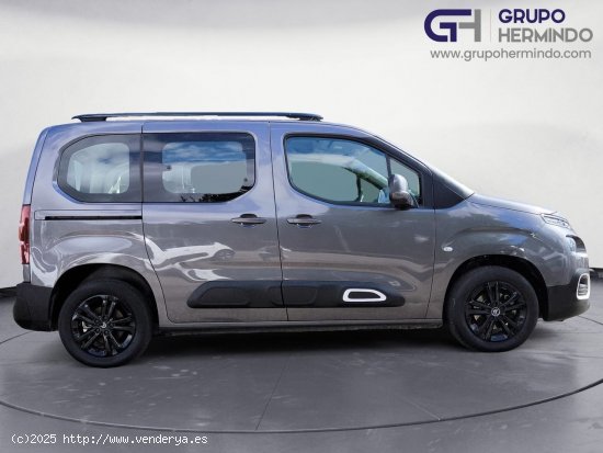 Citroën Berlingo TALLA M BLUE HDI 100 CV FEEL - Ponteareas